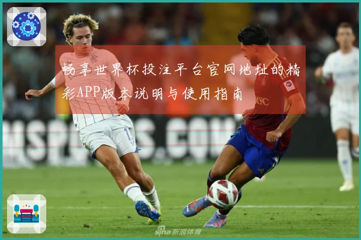 畅享世界杯投注平台官网地址的精彩APP版本说明与使用指南