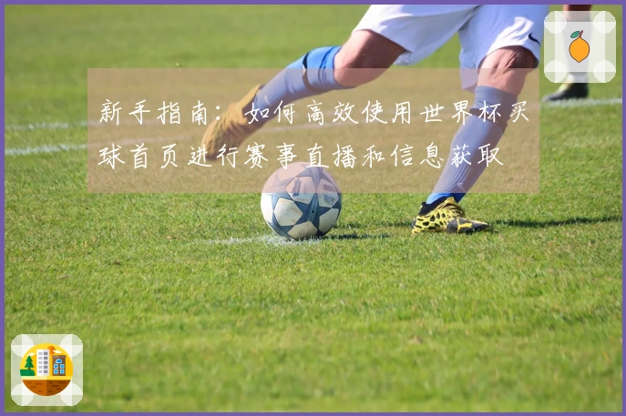 新手指南：如何高效使用世界杯买球首页进行赛事直播和信息获取