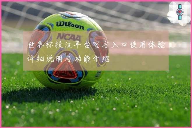 世界杯投注平台官方入口使用体验详细说明与功能介绍