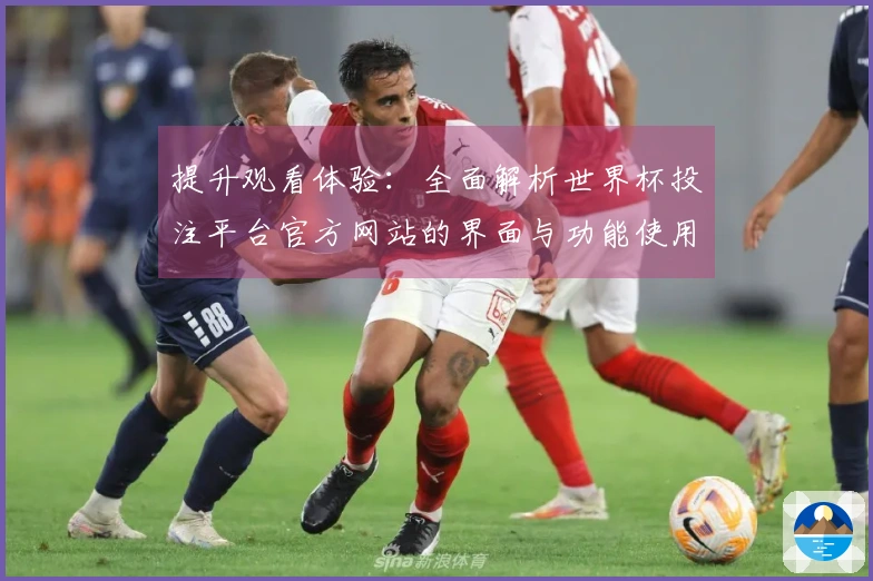 提升观看体验：全面解析世界杯投注平台官方网站的界面与功能使用指南