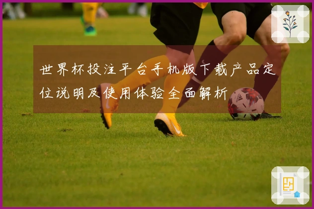 世界杯投注平台手机版下载产品定位说明及使用体验全面解析
