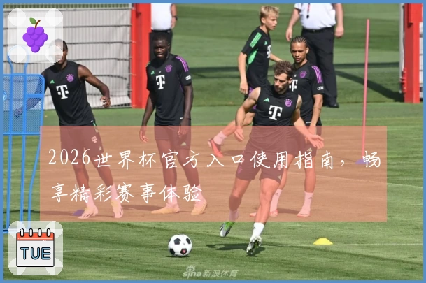 2026世界杯官方入口使用指南，畅享精彩赛事体验