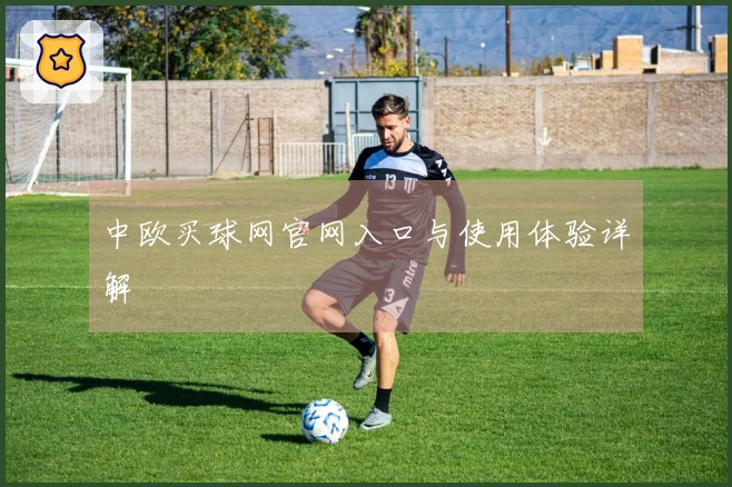 中欧买球网官网入口与使用体验详解
