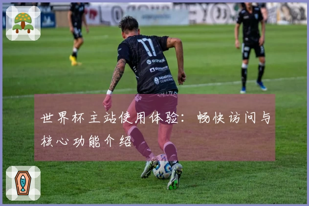 世界杯主站使用体验：畅快访问与核心功能介绍