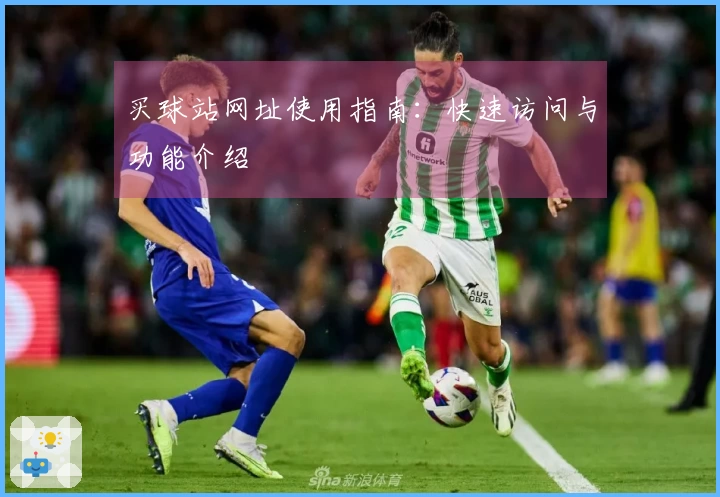 买球站网址使用指南：快速访问与功能介绍
