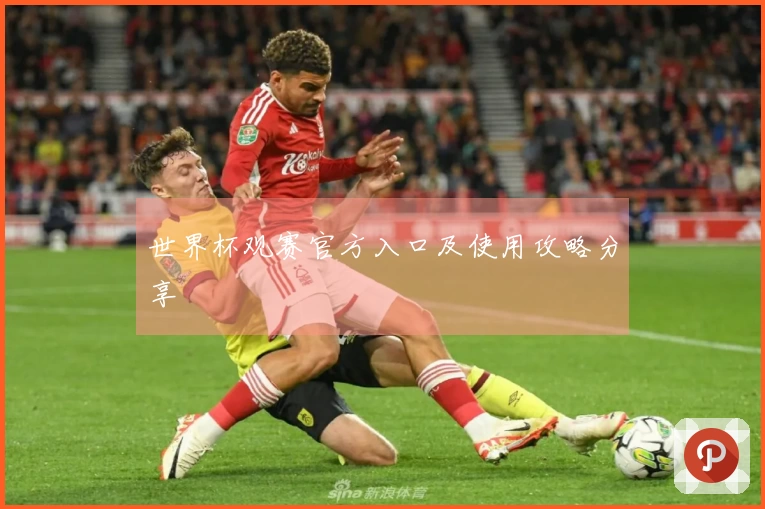 世界杯观赛官方入口及使用攻略分享