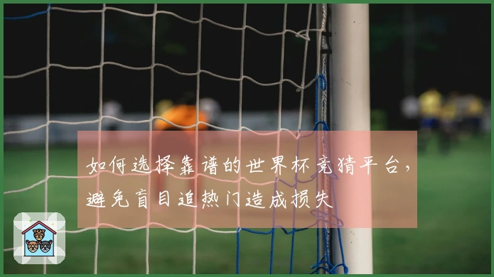 如何选择靠谱的世界杯竞猜平台，避免盲目追热门造成损失