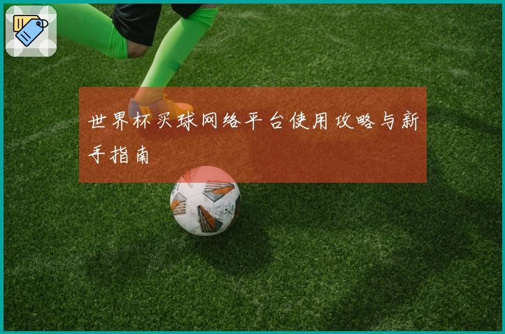 世界杯买球网络平台使用攻略与新手指南