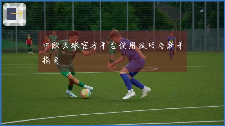 中欧买球官方平台使用技巧与新手指南