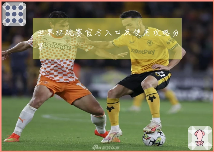 世界杯观赛官方入口及使用攻略分享