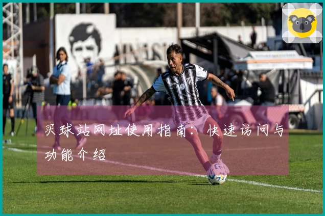 买球站网址使用指南：快速访问与功能介绍